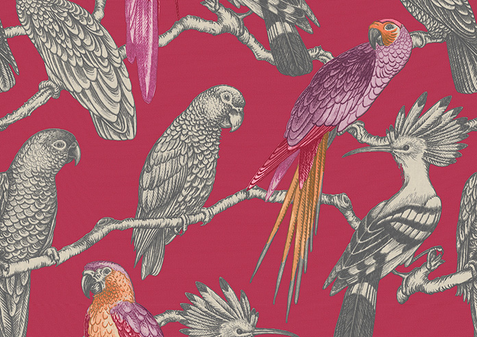 Aviary, Pomegranate - Roman Blind - Image 6
